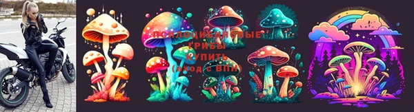 мдпв Дмитровск