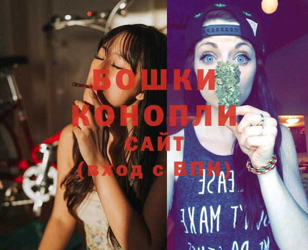 мдпв Дмитровск