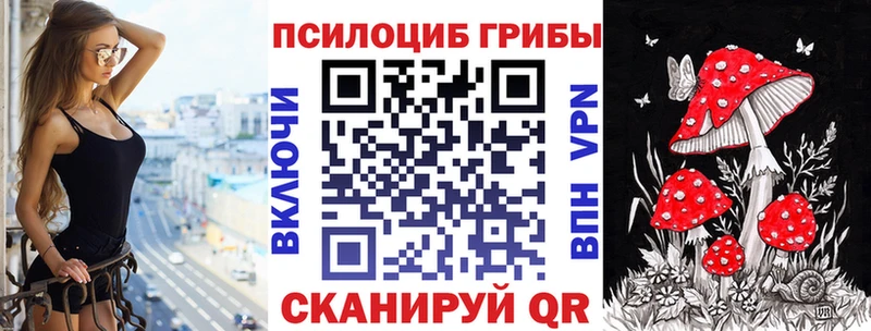Купить  Белоярский  Псилоцибиновые грибы Psilocybe 